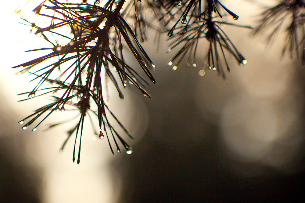 Смешанный боке