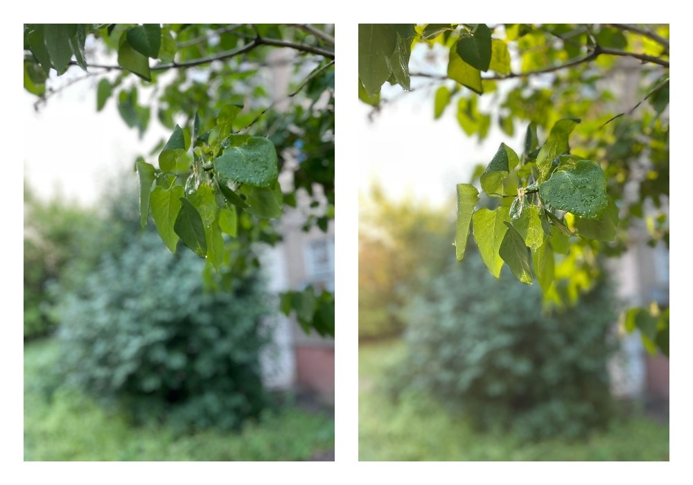 При помощи камеры