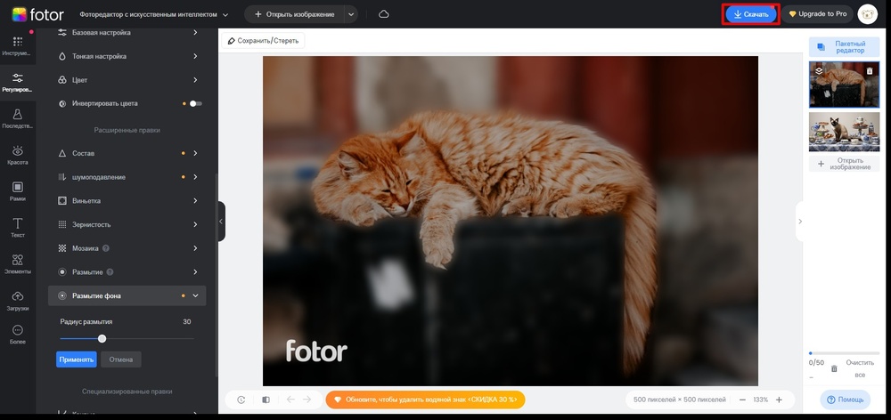 Скачать результат