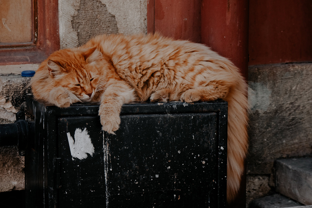 Исходное фото