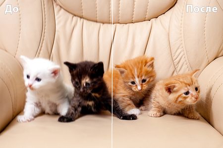 как убрать блюр с фото