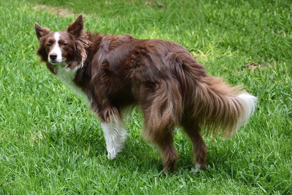 Результат обработки