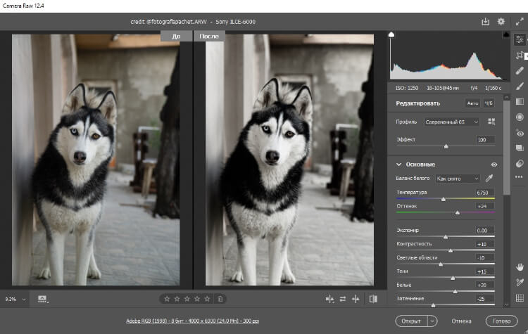 Лайтрум или Фотошоп: какие отличия и что лучше выбрать