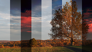 Градиентный фильтр