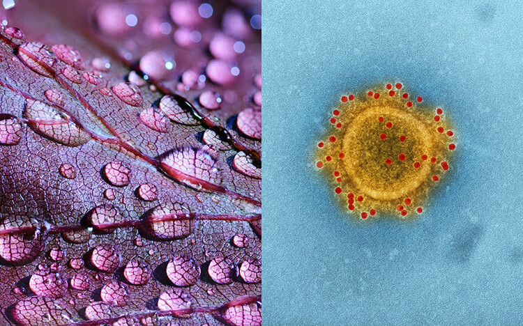 Примеры фотографии