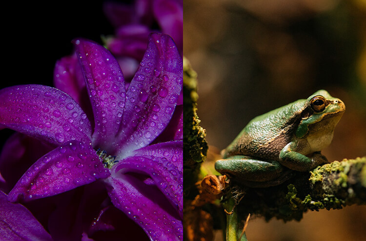 Примеры фото