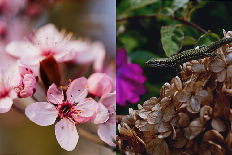 Разные диафрагмы