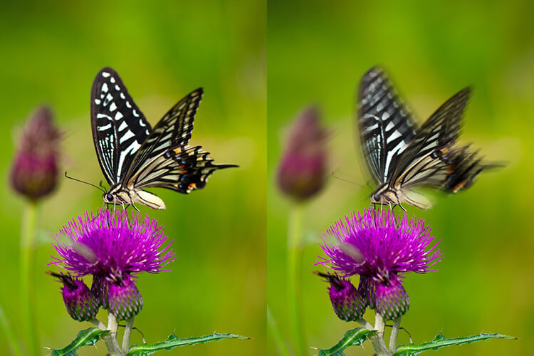 Как настроить макросъемку