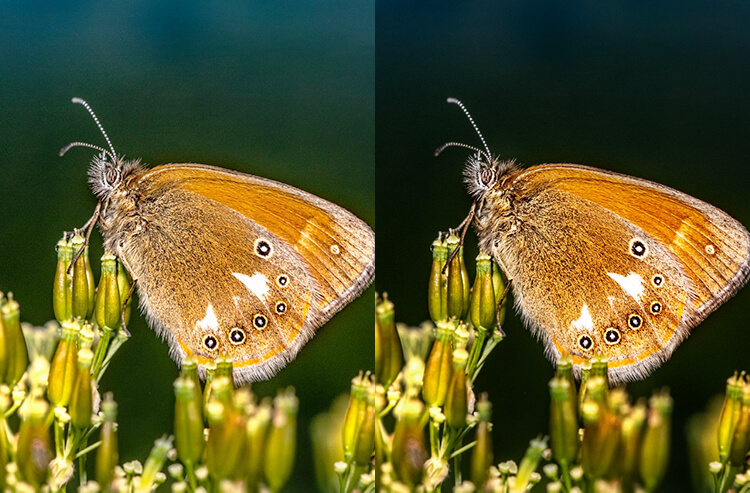 Световые грани