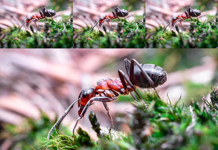 Совмещение фокуса