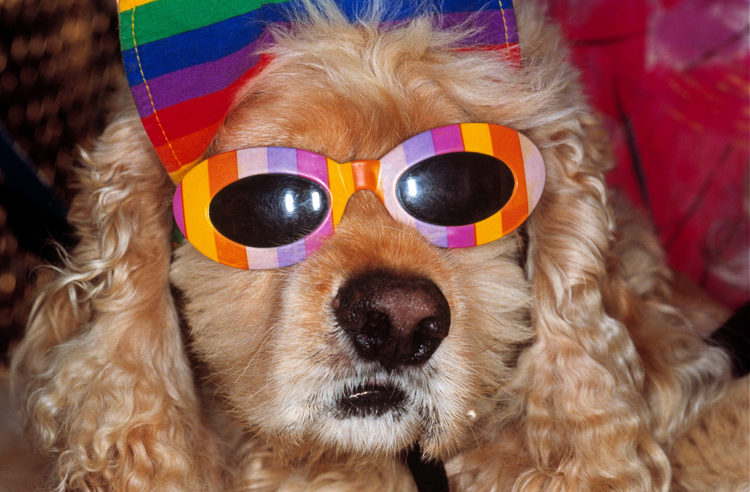 мартин парр работы