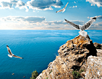 Детализация