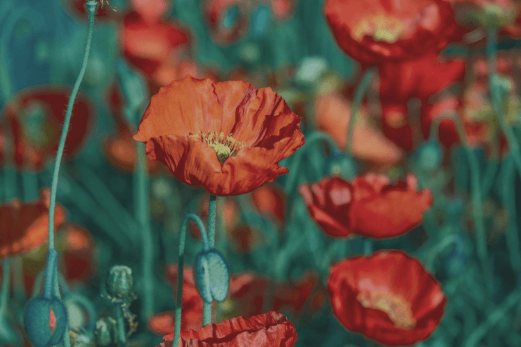 исходное фото