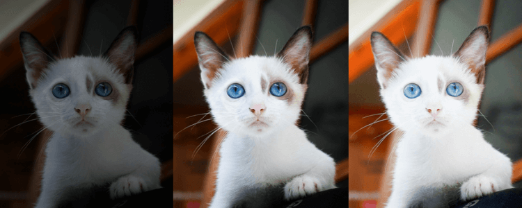 Тёмный кадр