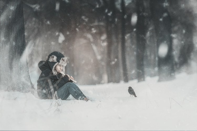 Снежный лес