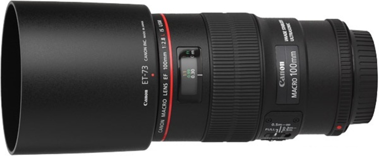 гибридная стабилизацию