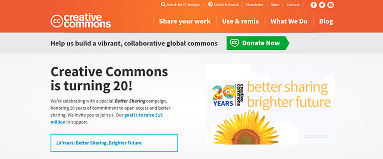 внешний вид сайта