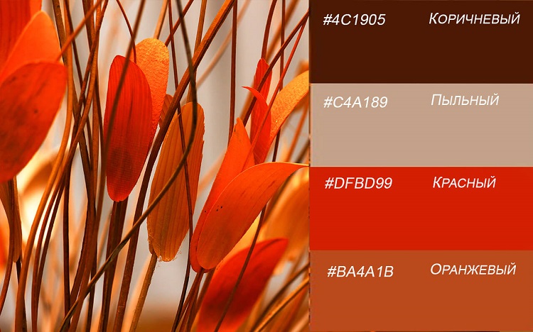 Cочетание цвета в цветах фото