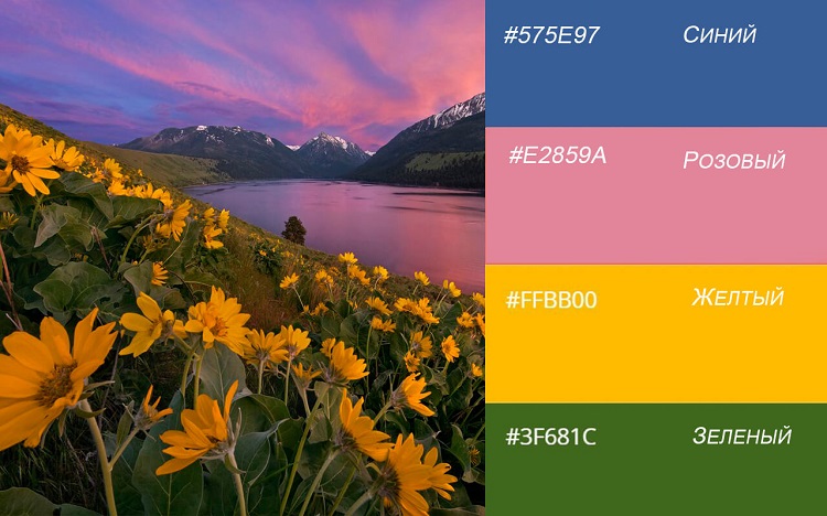 Цветочный луг